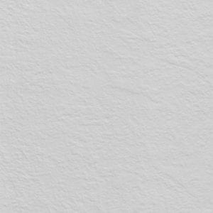 0741 Birch White